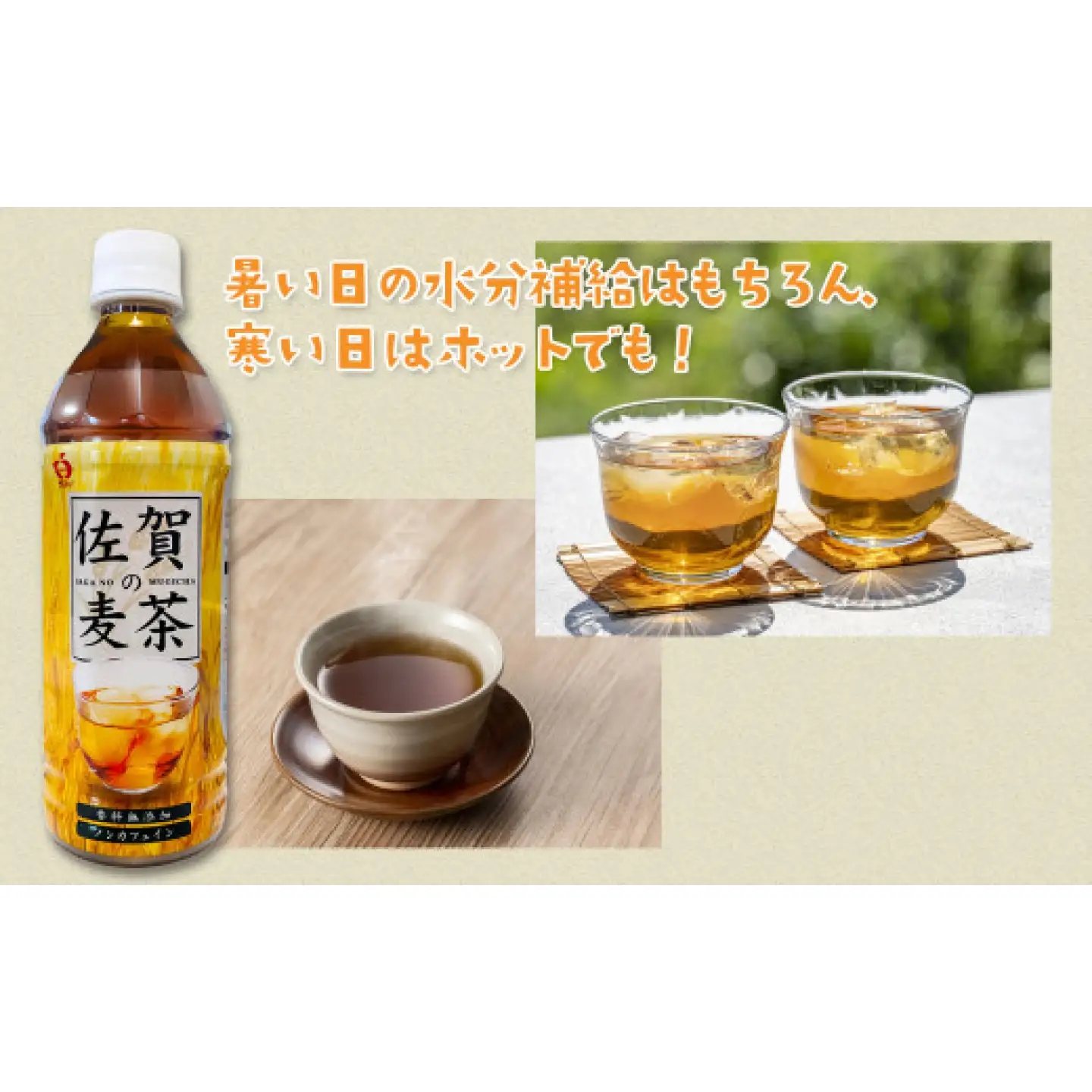 佐賀の麦茶 500ml×24本 / 麦茶 お茶 水分補給 ペットボトル / 佐賀県 / さが風土館季楽[41AABE124]
