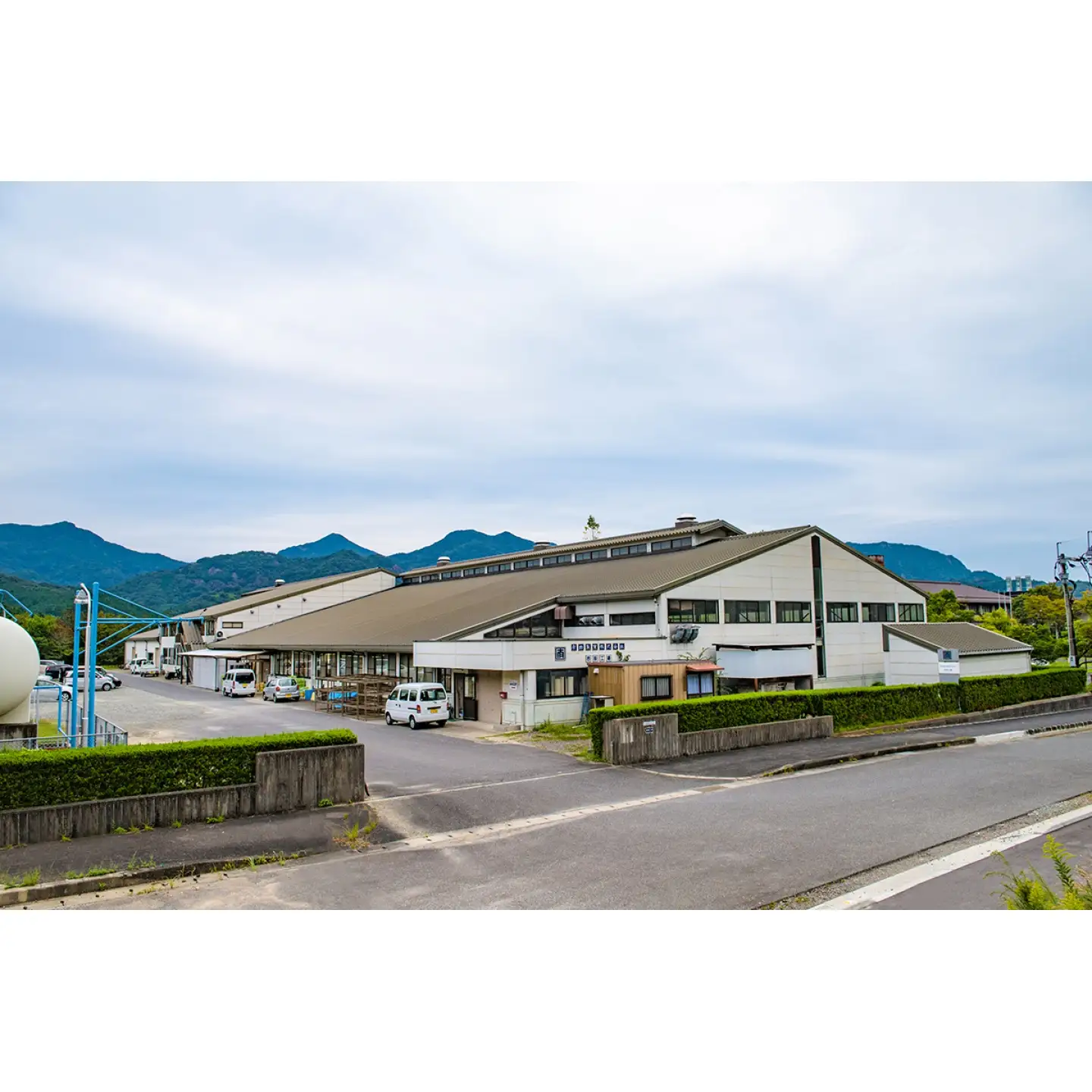 【有田焼】東洋の花 ペアロックカップ / 焼き物 コップ 食器 / 佐賀県 / アリタポーセリンラボ株式会社[41APAF007]