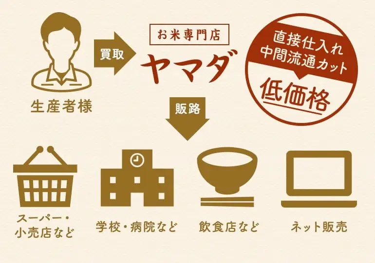 こしひかり 30kg 白米 コシヒカリ 米 こめ ご飯 近江米 お弁当
