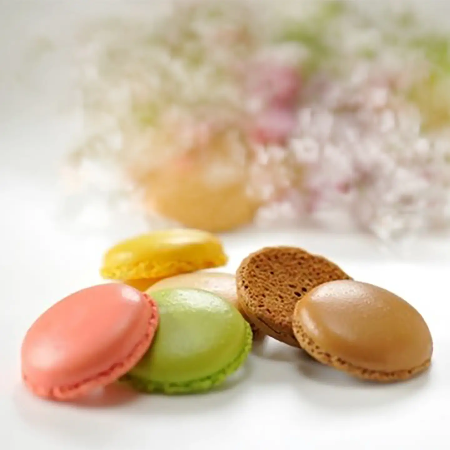 マカロンラスク 12個入×4箱 / マカロン ラスク お菓子 スイーツ おやつ / 佐賀県 / 株式会社不二家[41AKAB001]