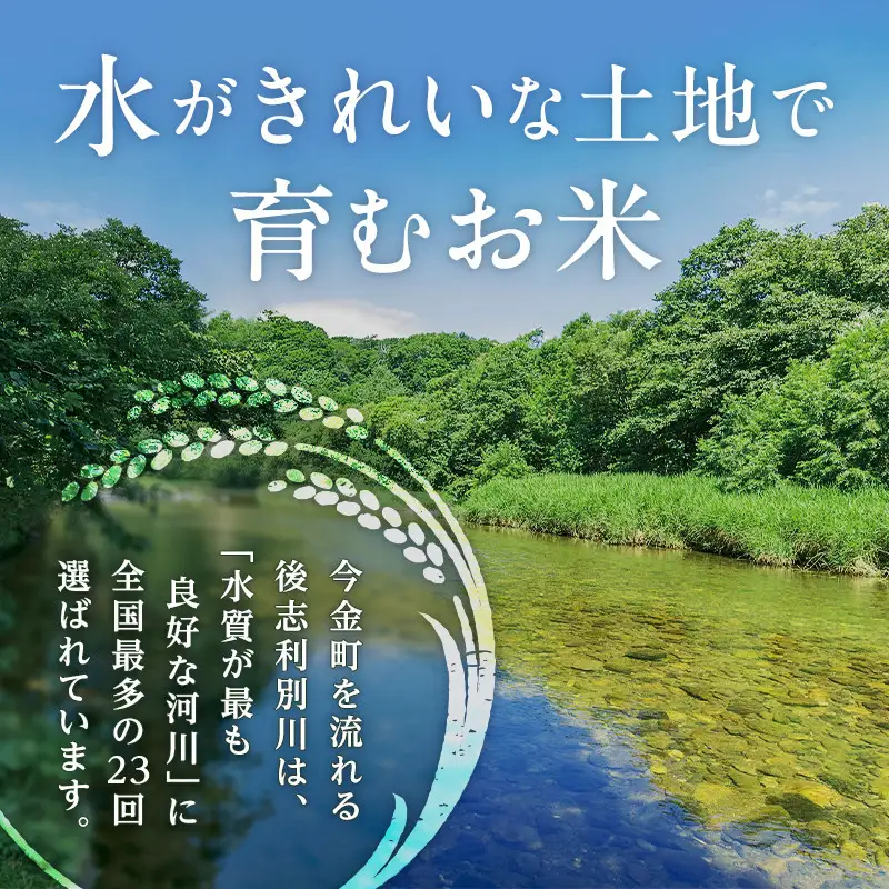 【2026年11月発送】令和8年産 ふっくりんこ 10kg(5kg×2) 北海道産 北海道今金町産 米 白米 米俵  F21X-692