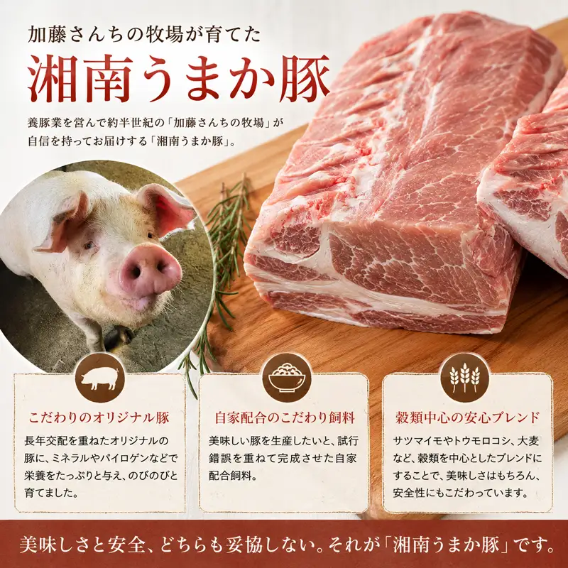 豚肉 湘南 平塚産 極うす肉 セット 約800g 豚肉