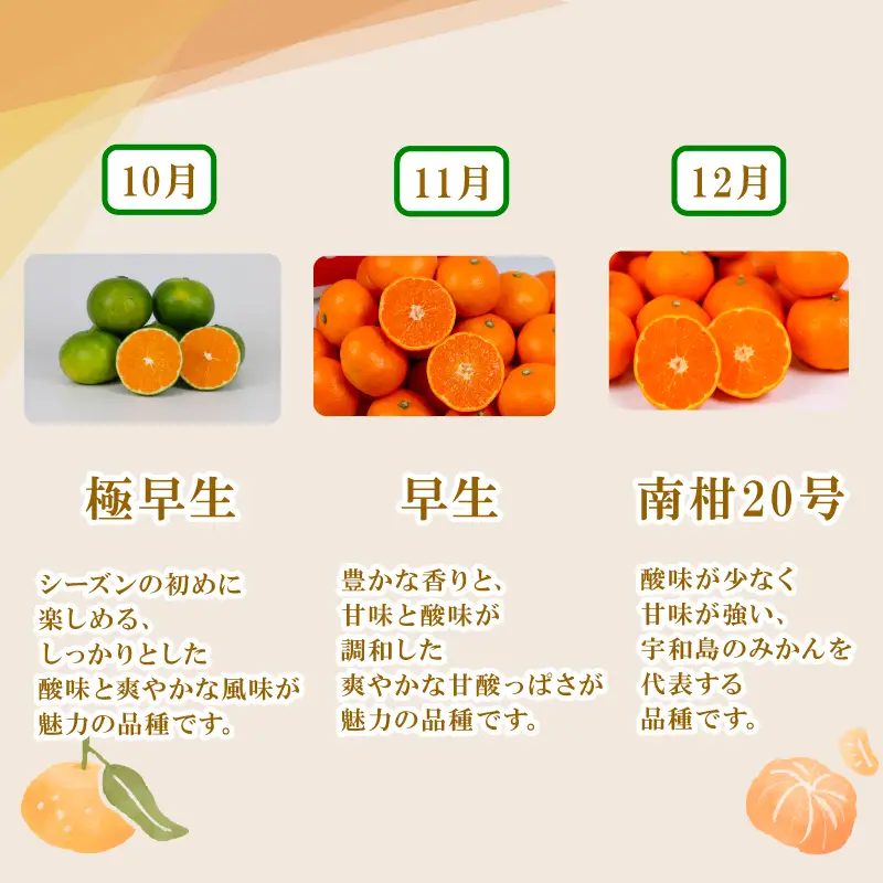 温州みかん 小玉 中玉 2kg 矢野青果 温州みかん B008-171045