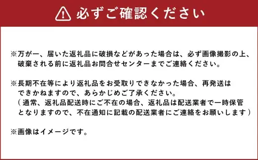 会津山塩シュークリーム 10個入り お菓子 菓子 おかし スイーツ シュークリーム 洋菓子 焼菓子 会津山塩 べこの乳