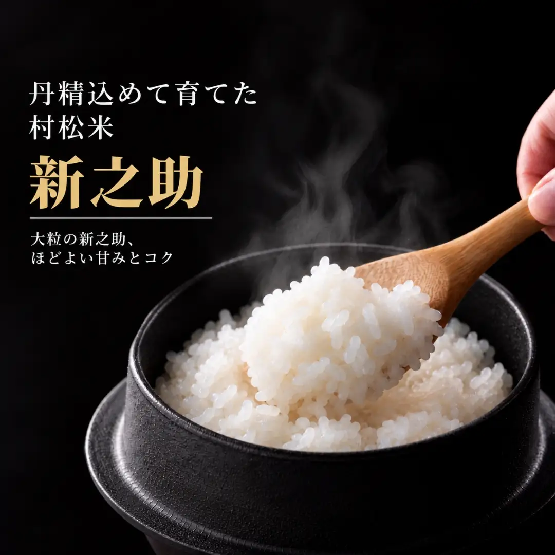 【令和8年産】新之助 20kg 熊倉商店 新潟｜新之助 しんのすけ