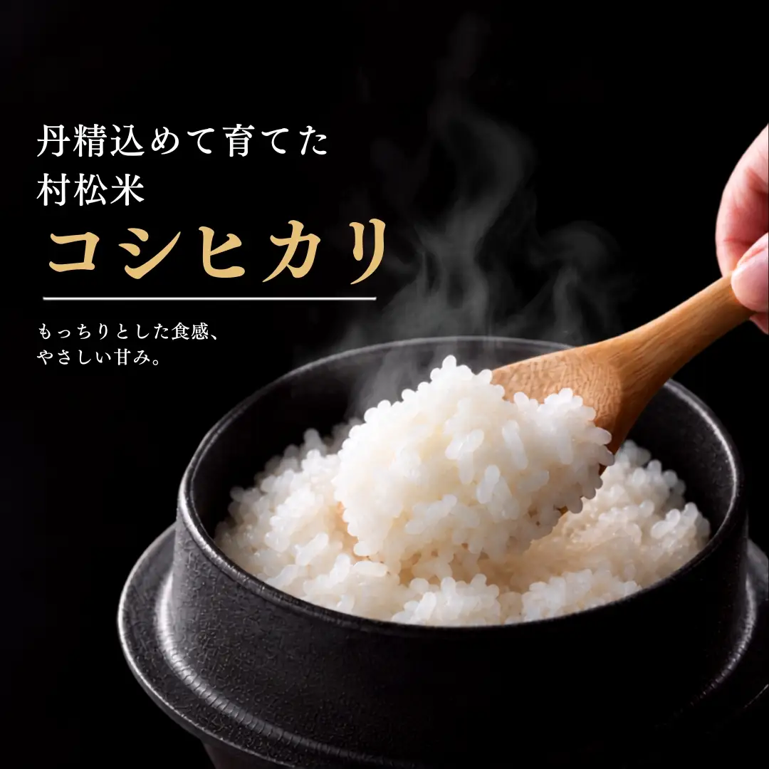 【令和8年産】コシヒカリ 20kg 5kg×4袋 熊倉商店 新潟｜コシヒカリ こしひかり