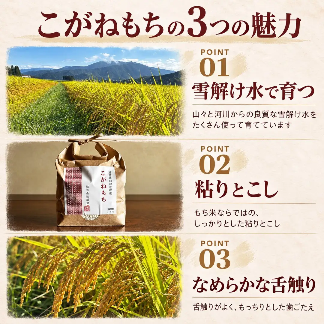 【令和8年産】もち米 こがねもち 3kg 五泉市 村松 赤飯 おこわ｜もち米 新潟