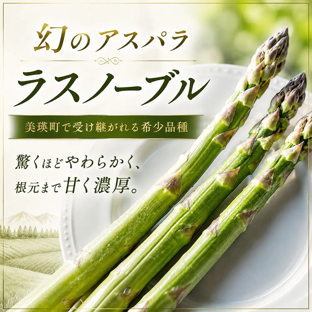 野菜定期便 3回便【令和9年産先行予約】本山農場の野菜定期便（小）野菜 セット