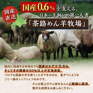 焼肉用ラム肉スライス【250g×2パック、オリジナルスパイス10g】_I020-0442