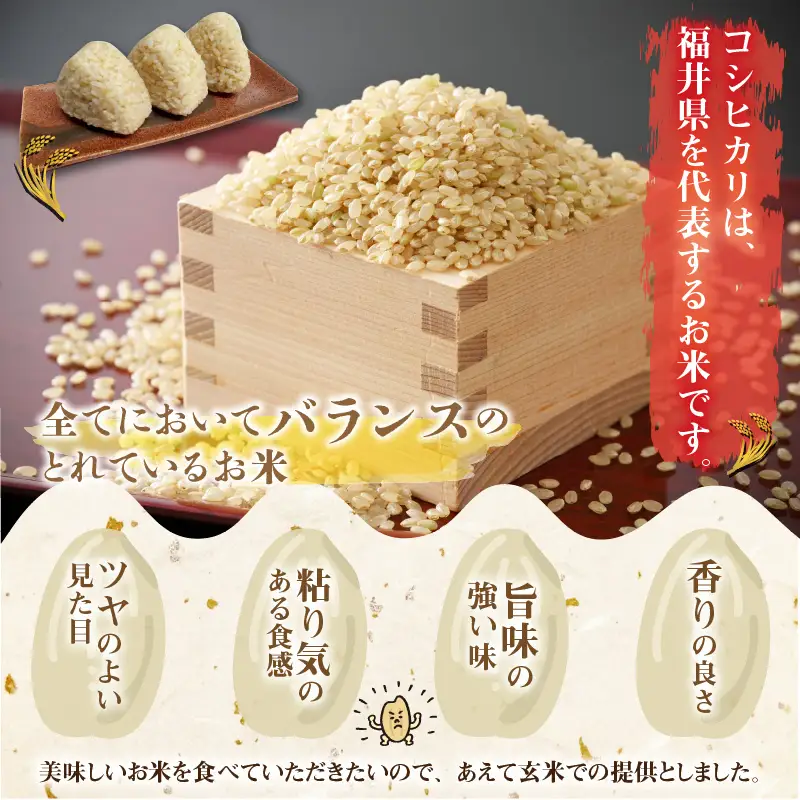 米 令和8年産 コシヒカリ玄米 5kg [A-040029]