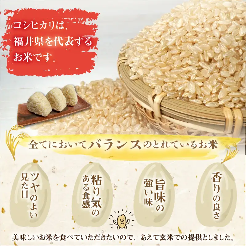 米 令和8年産 コシヒカリ玄米 定期便 10kg×3回[C-040009]