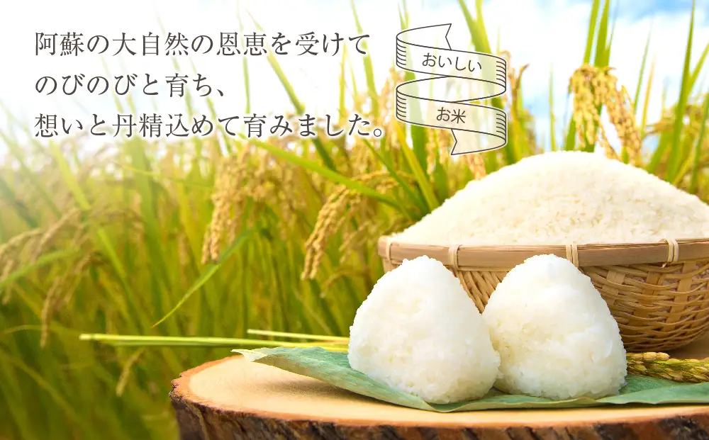 ミルキークイーン 令和8年産 10kg 【玄米】 明徳農場 減農薬 特別栽培米 米 お米 美味しい 寒暖差 湧き水 お取り寄せ 熊本県 阿蘇市