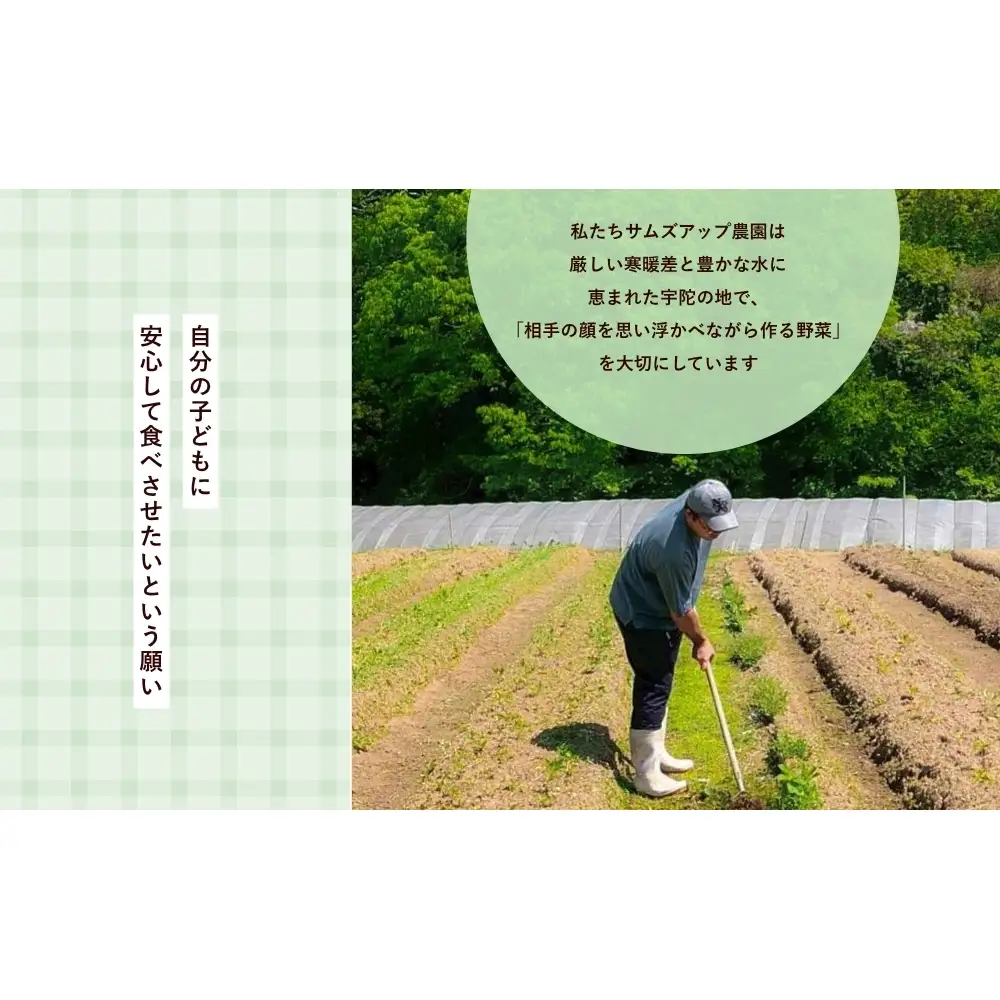 農家が惚れた「さんとこマルシェ」旬野菜セット（12-15品） / サムズアップ農園 農家 さんとこマルシェ ふるさと納税 ベジタリアン 野菜セット 旬の野菜 詰め合わせ 奈良県 宇陀市 
