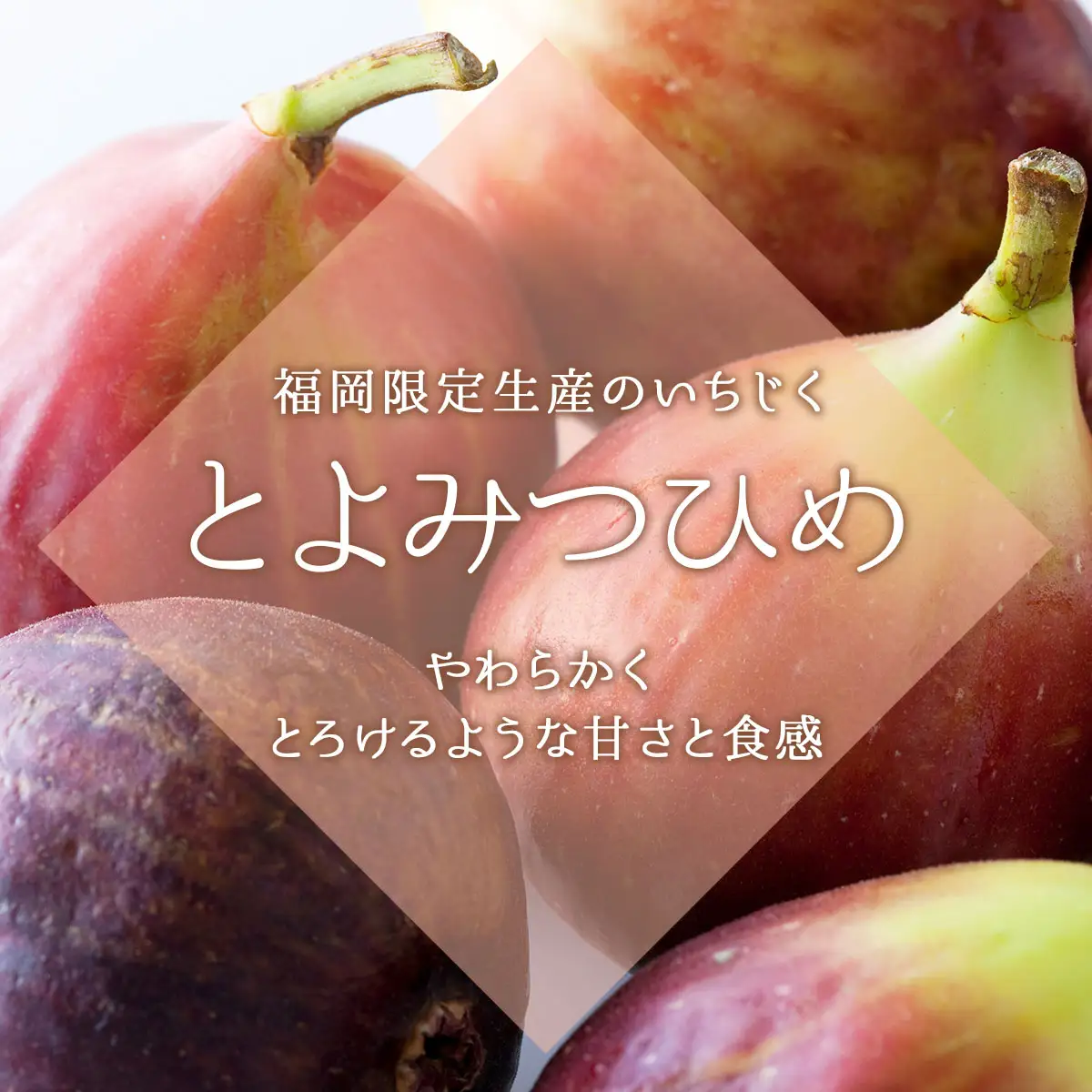 福岡限定!ブランドいちじく「とよみつひめ」約300g×4パック(篠栗町)【NF001】