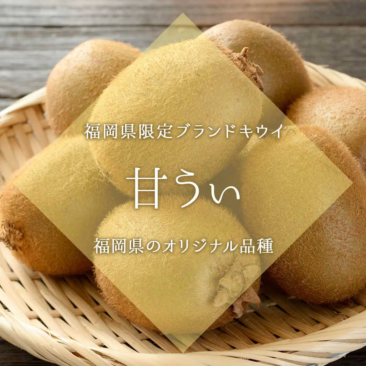 【先行予約】福岡限定!ブランドキウイ「甘うぃ(あまうぃ)」約1.5kg箱(12-15玉)(篠栗町)【NF005】