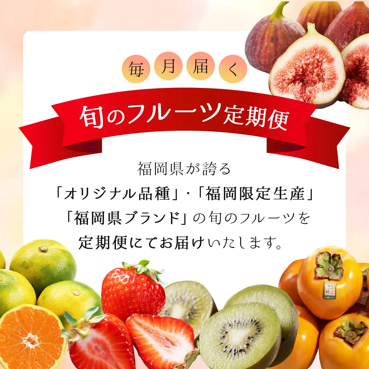 ＜5回定期便＞福岡ブランドの旬のフルーツ定期便 (篠栗町)｜イチジク ミカン キウイ 柿 イチゴ【NF019】