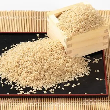 【毎月定期便】あきたこまち 玄米 30kg(5kg×6袋)全12回【配送不可地域：離島・沖縄県】【4090635】