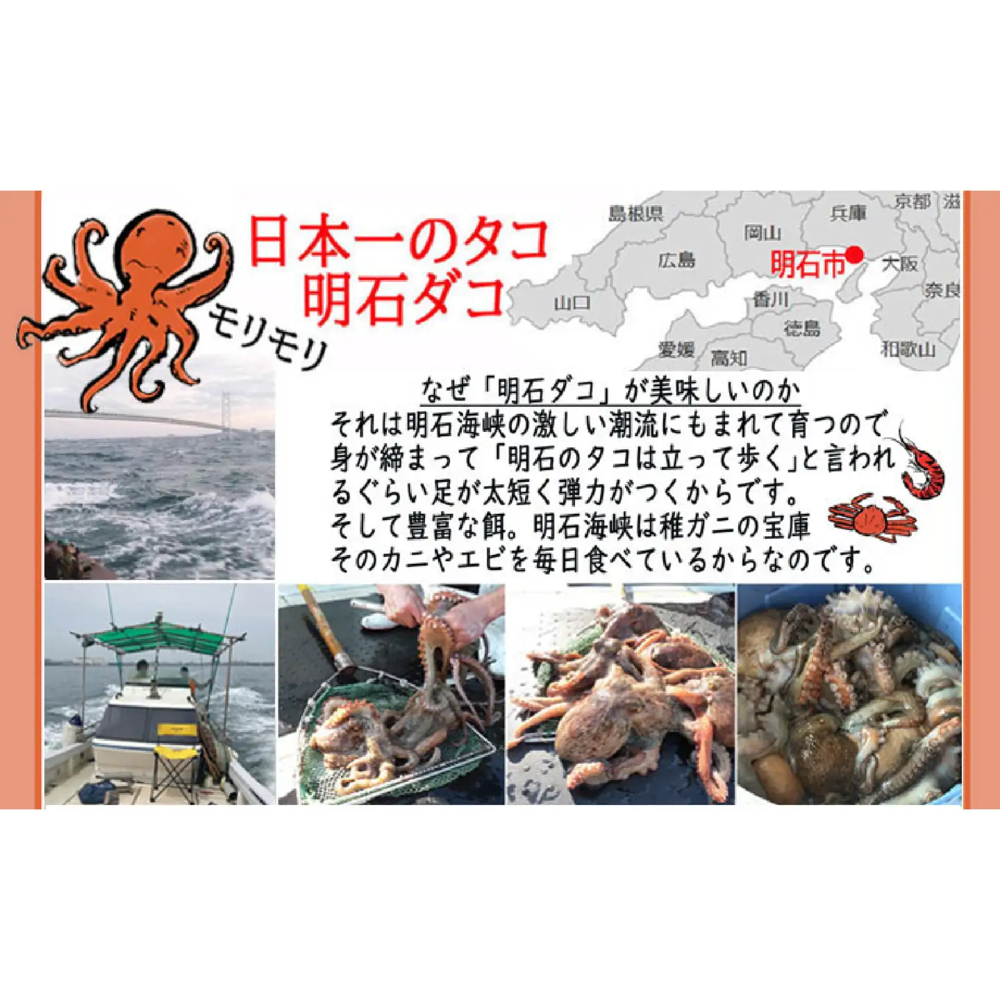 明石だこのたこしゃぶ 約8人前 250g × 4個