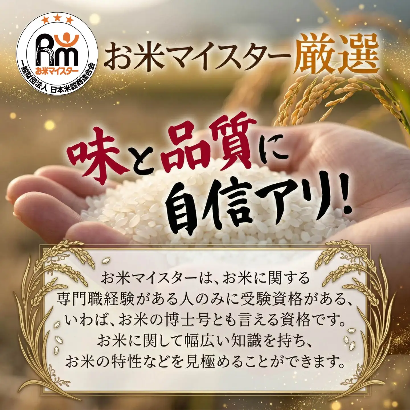 【 定期便 3ヶ月 】 米 にじのきらめき 10kg  ( 5kg × 2袋 ) 令和8年産 精米