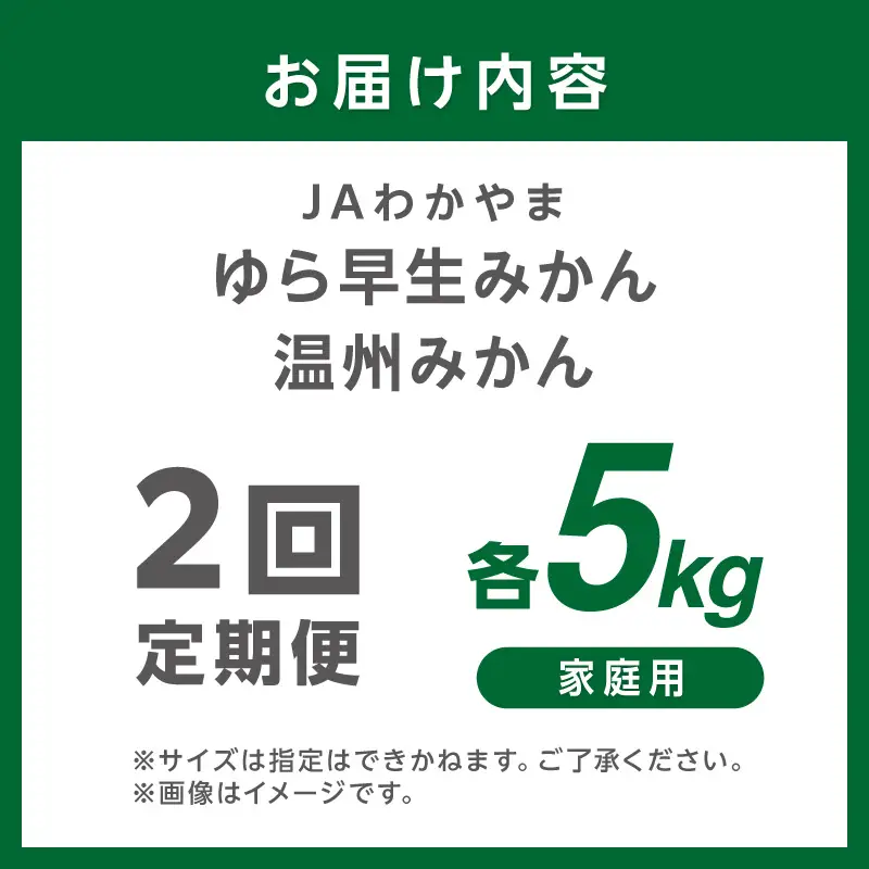 【2回定期便】JAわかやま 紀州のゆら早生･温州みかん【8077】