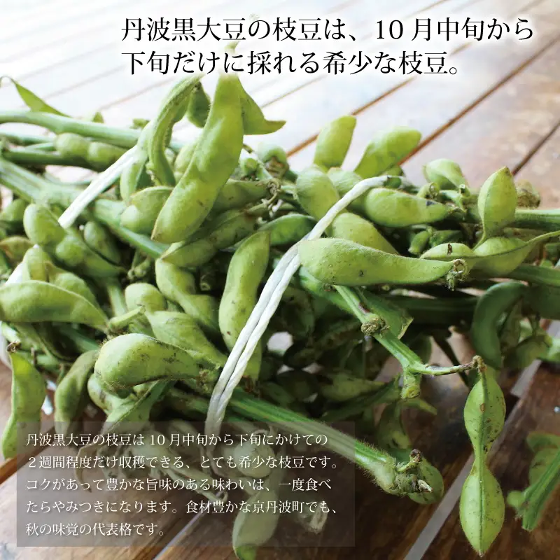 《先行予約》丹波黒枝豆 枝付き 2kg 京都 京丹波町産 【 枝豆 おつまみ 】[011KK001L]