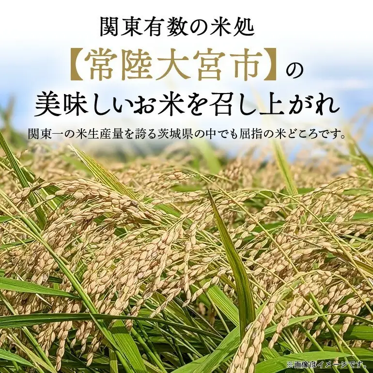 常陸大宮産 コシヒカリ 15kg（5kg×3） 茨城県産 令和8年産 精米 【米】【ho1752】
