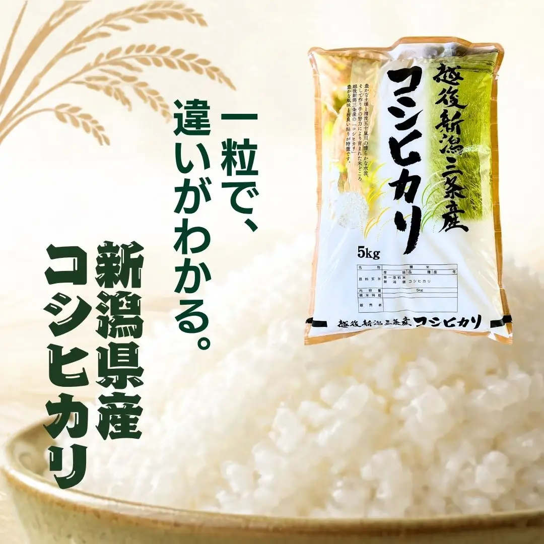 先行予約 定期便 コシヒカリ5kg × 3回 新潟県産コシヒカリ 令和8年 精米