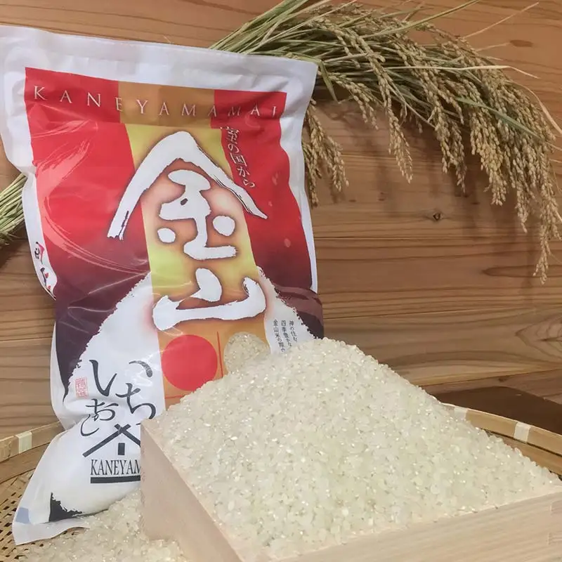 【令和7年産】定期4回 金山町産 特別栽培米 はえぬき 精米 5kg×4回 合計20kg 米 お米 ご飯 ブランド米 定期便 低温貯蔵 低温精米 F4B-0837