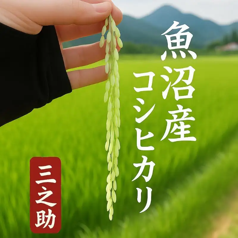 【令和8年産 新米先行受付】魚沼産コシヒカリ 特別栽培米 （精米）2kg 米 こしひかり 魚沼市