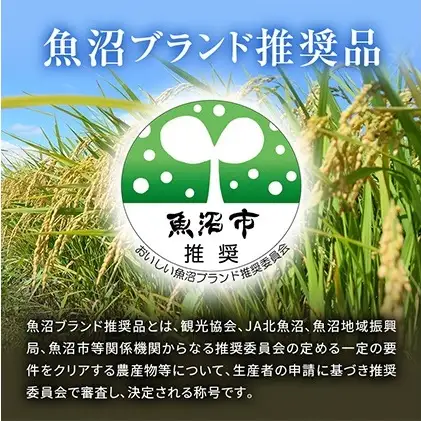 【先行予約 令和8年産】 魚沼産コシヒカリ おりたて米 （精米）7.5kg（2.5kg×3） お米
