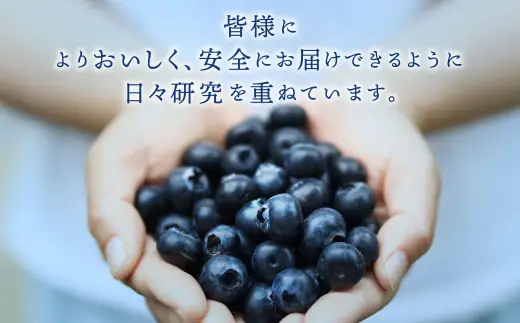 生ブルーベリー 計約900g（約100g×9パック）【2027年4月下旬-6月上旬発送予定】 ｜ブルーベリー 果物 フルーツ 静岡県 菊川市