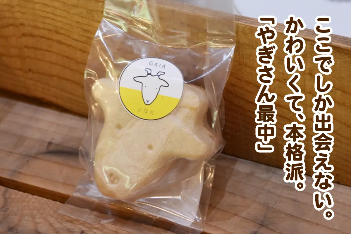 やぎさん最中 12個 (小豆餡／手亡餡 各3個セット×2箱) [1312]