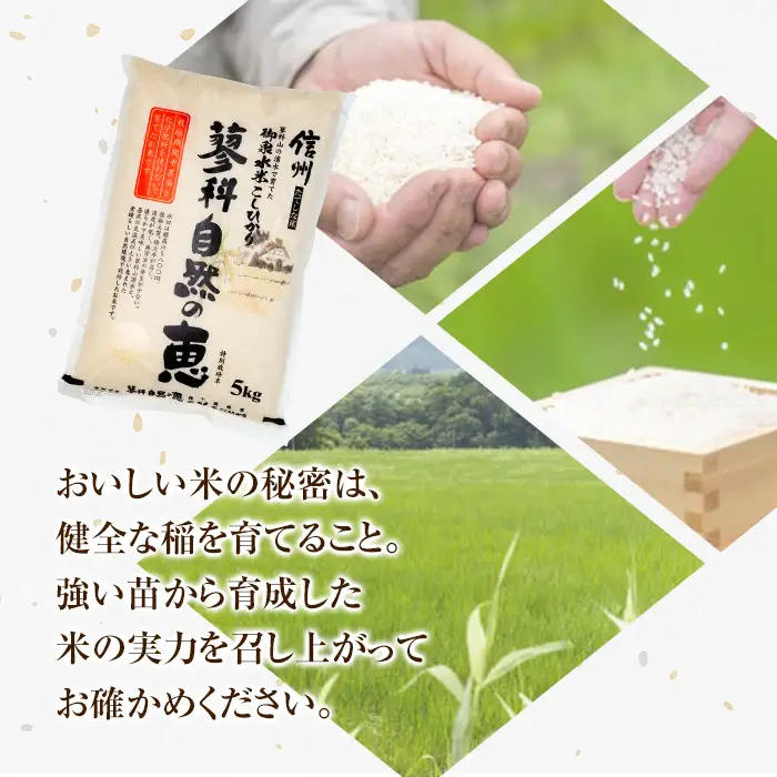 【令和8年産米】 信州たてしな産 蓼科自然の恵 (白米) 5kg