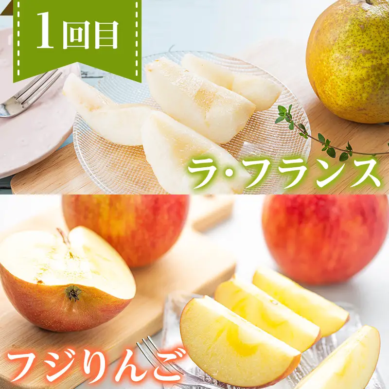 【定期便4回】ノノハナフルーツ 笑顔花咲く定期便 FY26-233
