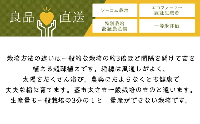 令和7年度産 山形産 「つや姫」10kg (精米) 特別栽培米 8割減農薬・9割減化学肥料（当地比）【カブトエビが泳ぐほそやさんの田んぼから】微生物を活性化させるワーコム栽培 FY26-269