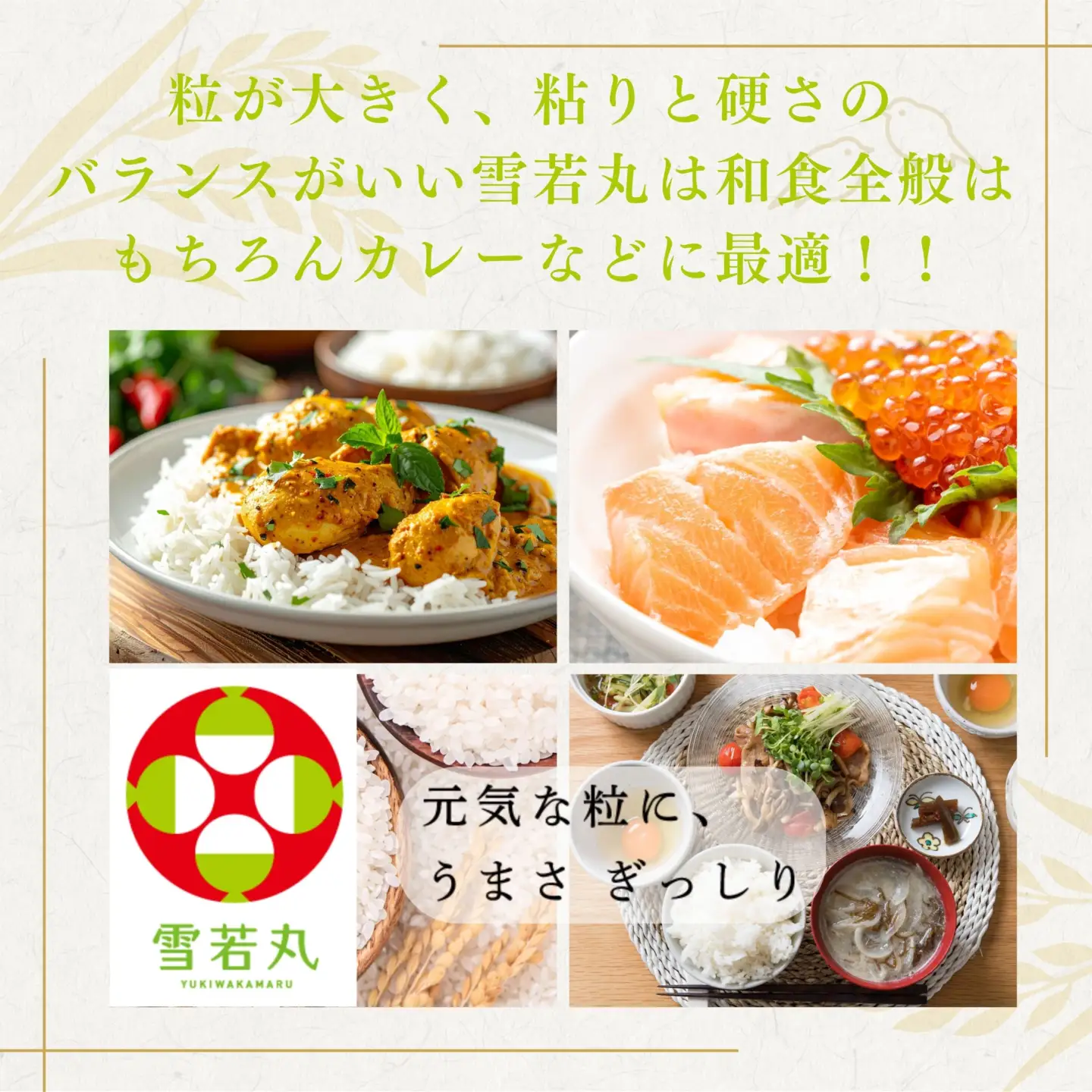 FYN1-377 【12月発送】令和7年度 山形県産 雪若丸 5kg 白米 無洗米 ご飯 ごはん 時短 節水 国産 ブランド米 ゆきわかまる 食品 山形県 西川町 月山 