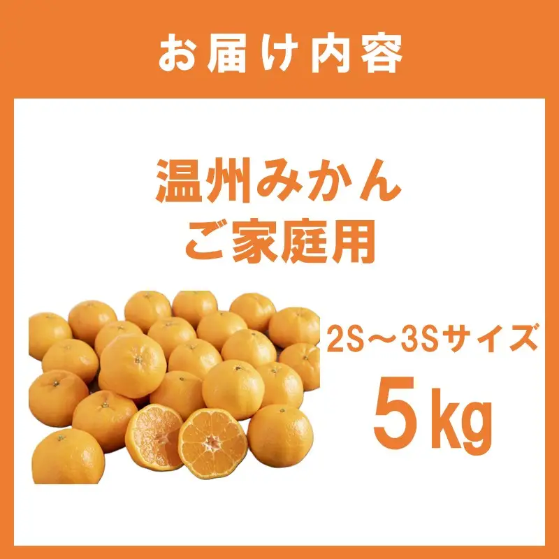 温州みかんご家庭用(2S～3Sサイズ) 5kg【1347】