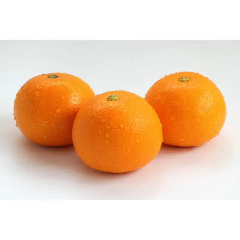 紅八朔 厳選 Mサイズ 約10kg【1348】
