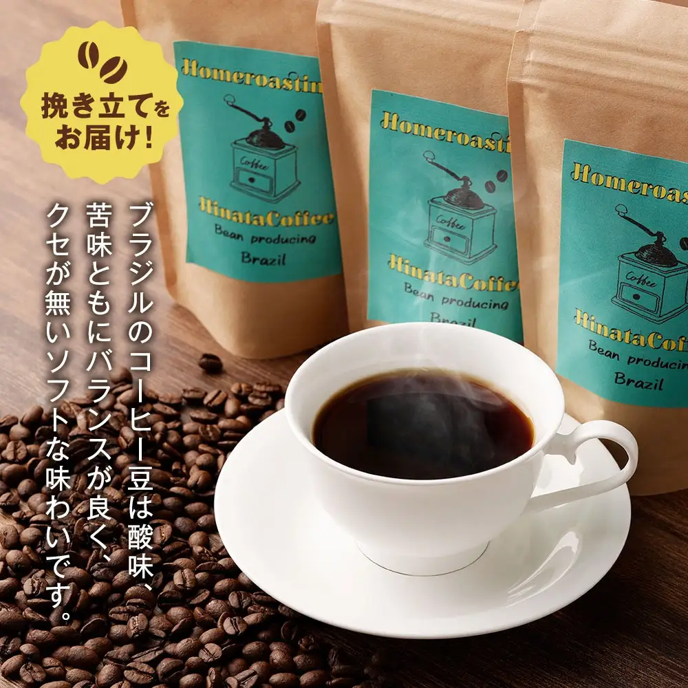【12カ月定期便】コーヒー 豆 粉（ブラジル サントス 中煎り 中細挽き）100g × 3個セット | ミディアムロースト ギフトBOX付き コーヒー 珈琲 自家焙煎 ひなた珈琲 幸田町 送料無料