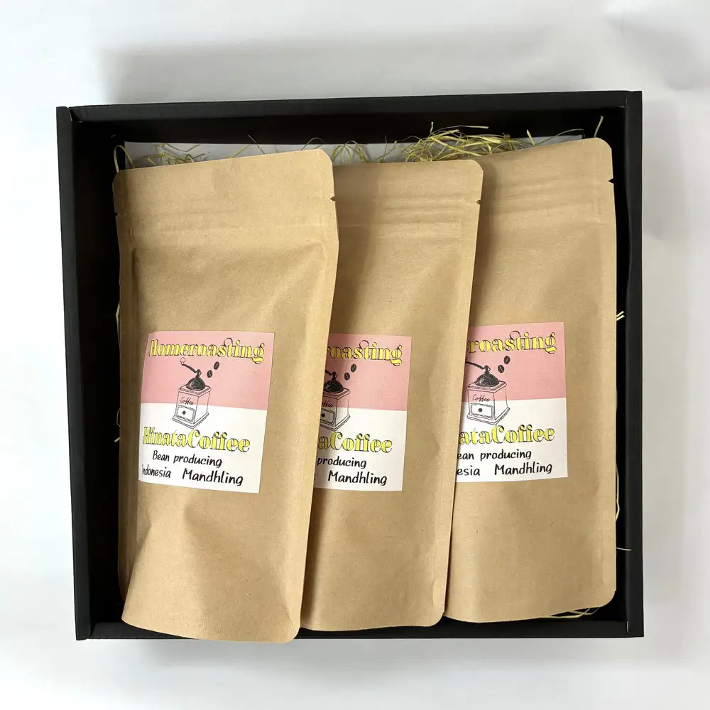 【3カ月定期便】コーヒー 豆 粉（インドネシア マンデリン 中煎り 中細挽き）100g × 3個セット | ミディアムロースト ギフトBOX付き コーヒー 珈琲 自家焙煎 ひなた珈琲 幸田町 送料無料