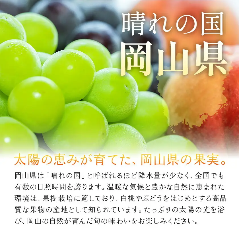【2027年発送先行予約】ご家庭用 岡山の白桃(晩生種) 約1.5kg 5～6玉【配送不可地域：離島】