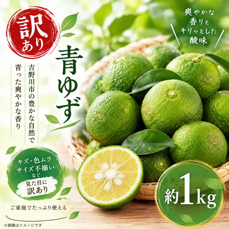 訳あり 青ゆず 1kg 【 柚子 】