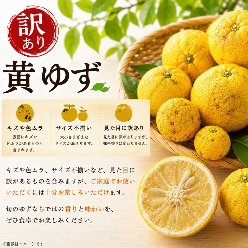 訳あり ゆず 1kg 【 柚子 】