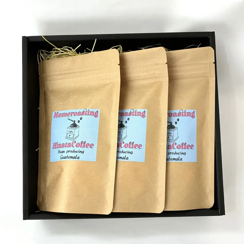 【6カ月定期便】コーヒー 豆 粉（グアテマラ 中煎り 中細挽き）100g × 3個セット | ミディアムロースト ギフトBOX付き コーヒー 珈琲 自家焙煎 ひなた珈琲 幸田町 送料無料
