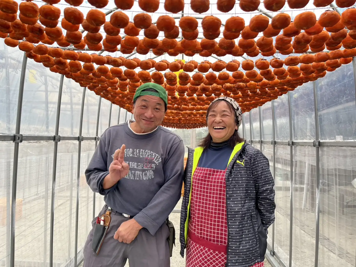 フルーツ トマト 華小町 小分け 4パック 【 ミニトマト 】