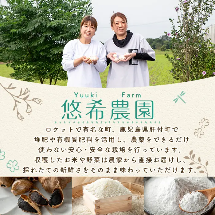鹿児島県産 にんにく 塩麹 約120g 国産 発酵【悠希農園】P93002