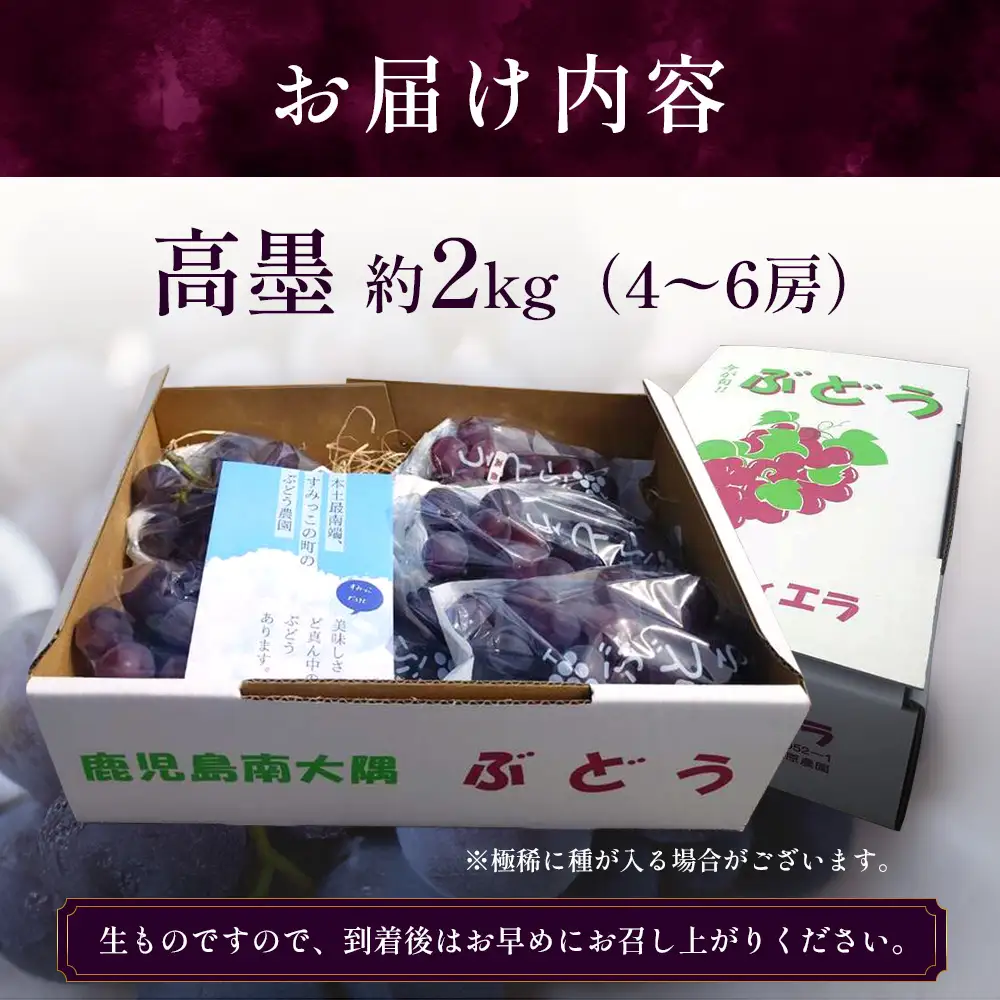 【もうすぐ終了・～9/15まで】本土最南端のぶどう 高墨 約2kg(4～6房）種無し TE-2｜ 黒ぶどう たかすみ 産地直送 旬 ブドウ 葡萄 ぶどう フルーツ 果物 くだもの 数量限定 果実 巨峰 枝変わり 鹿児島県 南大隅町 有限会社ティエラ　