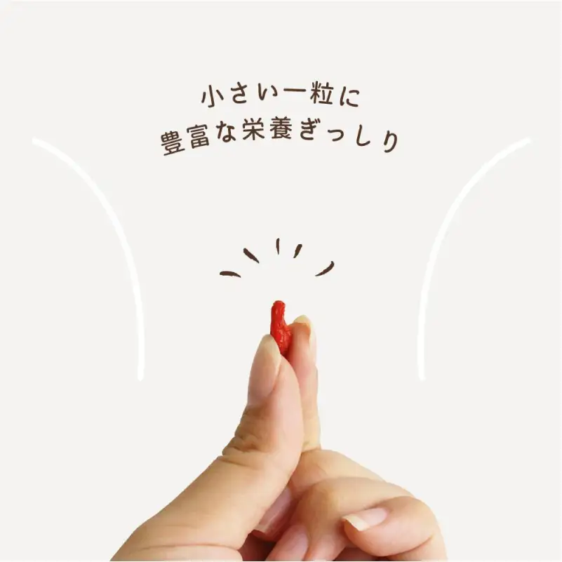 ゴジベリー(クコの実)500g×2袋 【kw0090-0021】