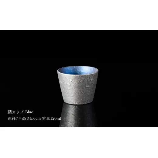 ＜NYが認めた逸品＞  有田焼 麟 Lin シルバー冷酒器 2点セット (片口 Purple カップ Blue)【金照堂】 酒器 ぐい呑み お猪口 徳利 bj071