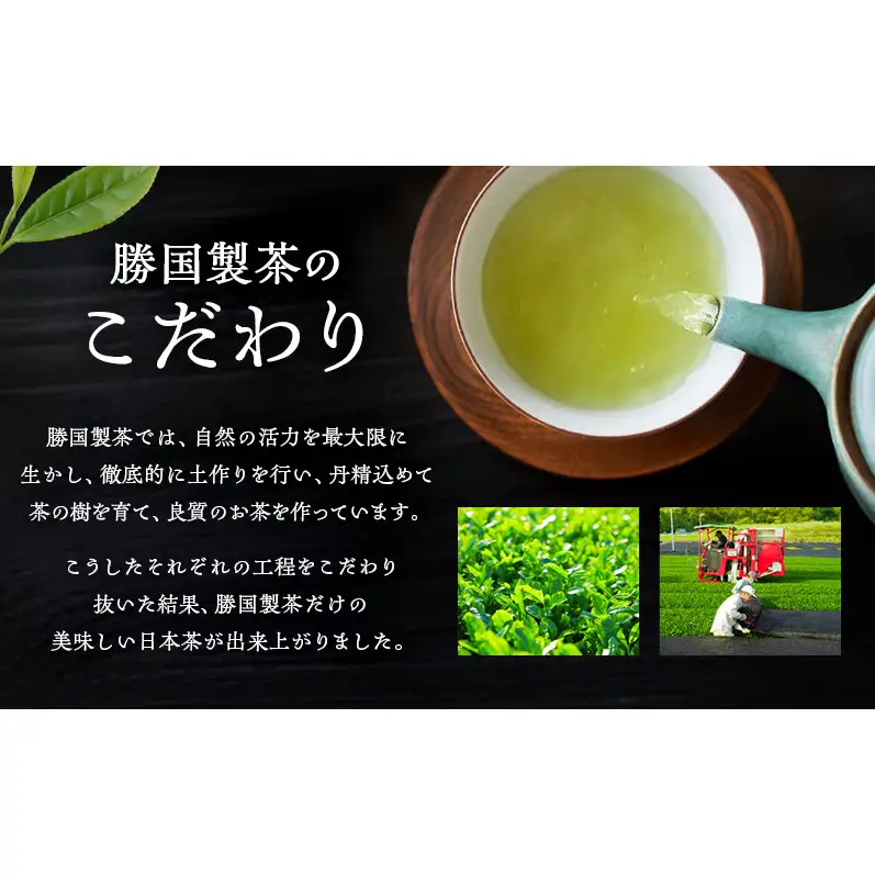 煎茶 鈴子 100g×2個セット お茶 贈答用 ギフト  お中元 【九谷つばき】